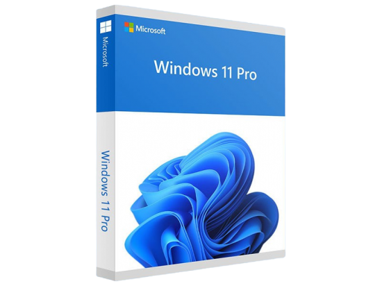 Windows 11 Pro Licentie