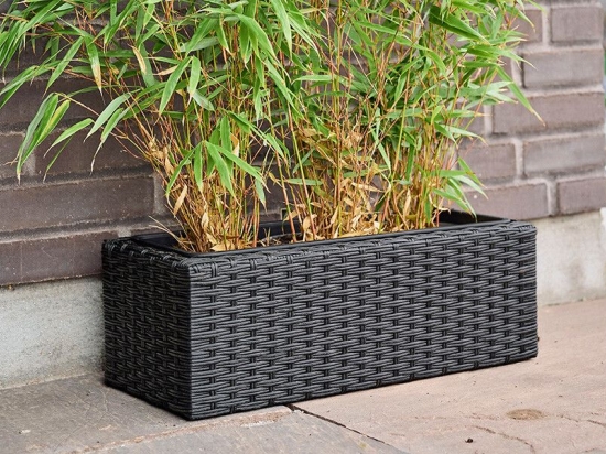 Lage rotan plantenbak met 3 vakken